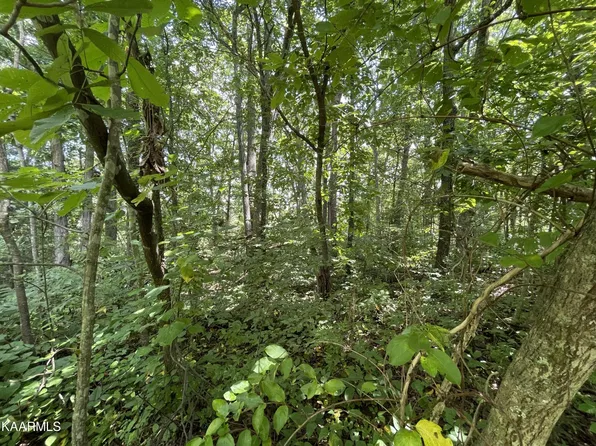0 Michaels Way Lot 24, Newport, TN 37821