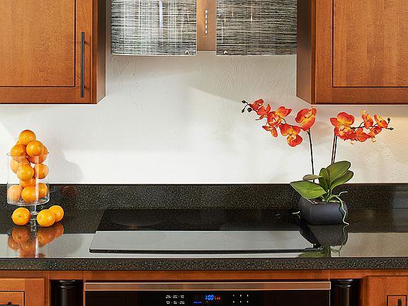 2013 Italian Range Hood