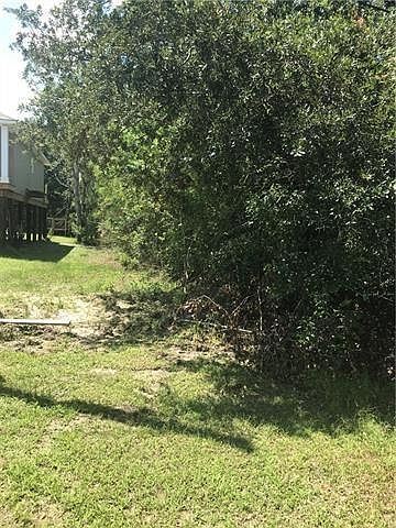 2nd image of Palm St