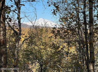 27460 S Baldy Bluff Dr, Talkeetna, AK 99676