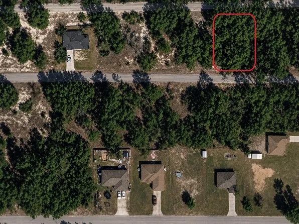Malauka Pass Trl Lot 12, Ocklawaha, FL 32179