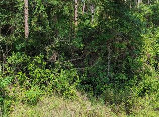 317 Tropic Ave, Satsuma, FL 32189