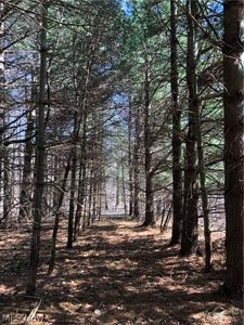 Sperry Rd, Chesterland, OH, 44026