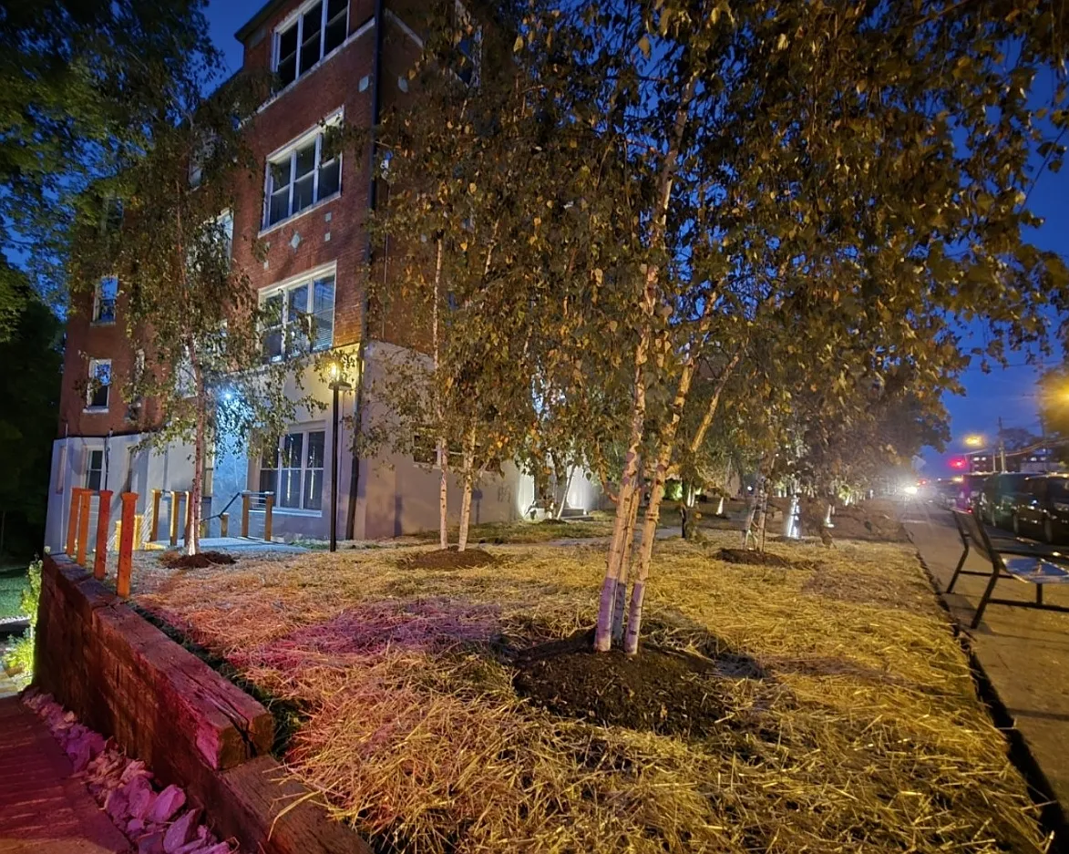 1 bed, 800 sqft, $1,250 — Photo 1