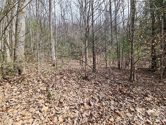 5th image of 9999 Burnette Reeves Rd