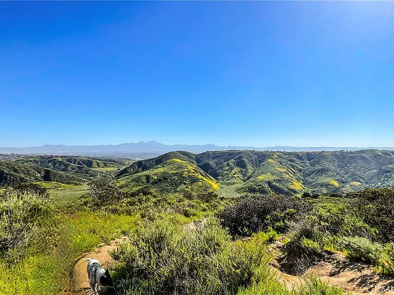 30722 Marilyn Dr — Photo 44