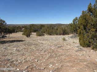 Sec 17 1965 Chevelon Ave #23, Heber, AZ 85928