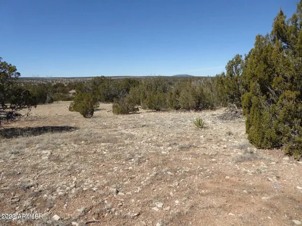 Sec 17 1965 Chevelon Avenue #23, Heber, AZ 85928