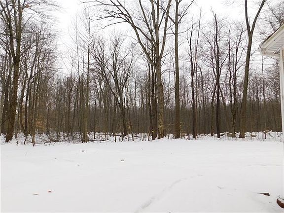 WOODED LOT BEHIND HOUSE
