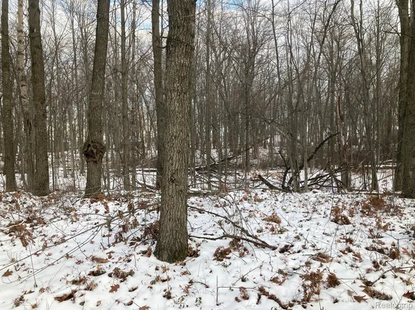 B One & 6 St, Caseville, MI 48725