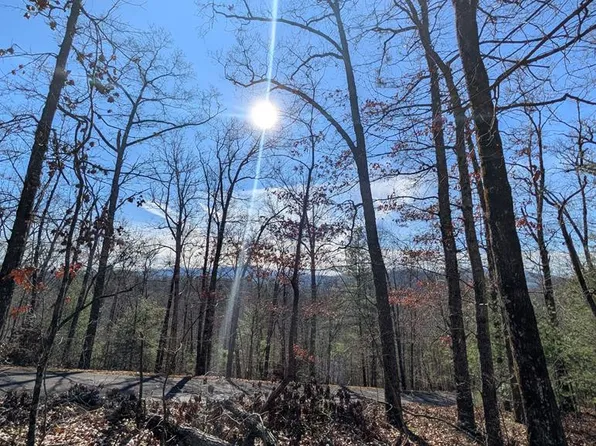 Lot 31 Tower Falls Lane LOT 31, Hayesville, NC 28904