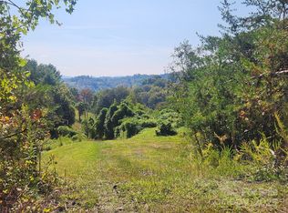 366 Cabin Hollow Dr, Marshall, NC 28753