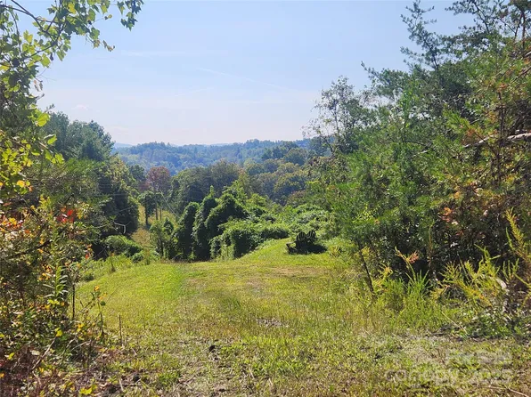 366 Cabin Hollow Dr, Marshall, NC 28753