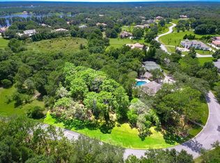 7701 Still Lakes Dr, Odessa, FL 33556