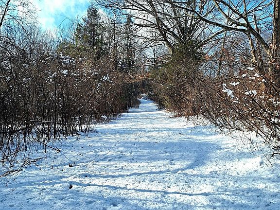 2nd image of 4 Mountain Rd