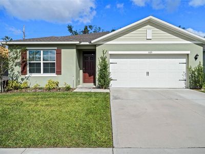 11125 Amber Ridge Dr, Zellwood, FL, 32798