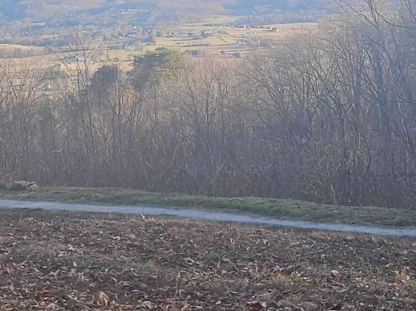 Greene Lane Of #E, La Follette, TN 37766