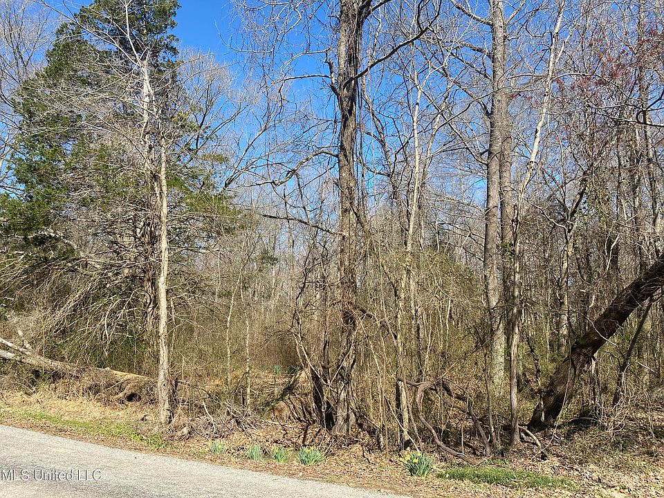 2nd image of 151 Cedar Oaks Cir #16