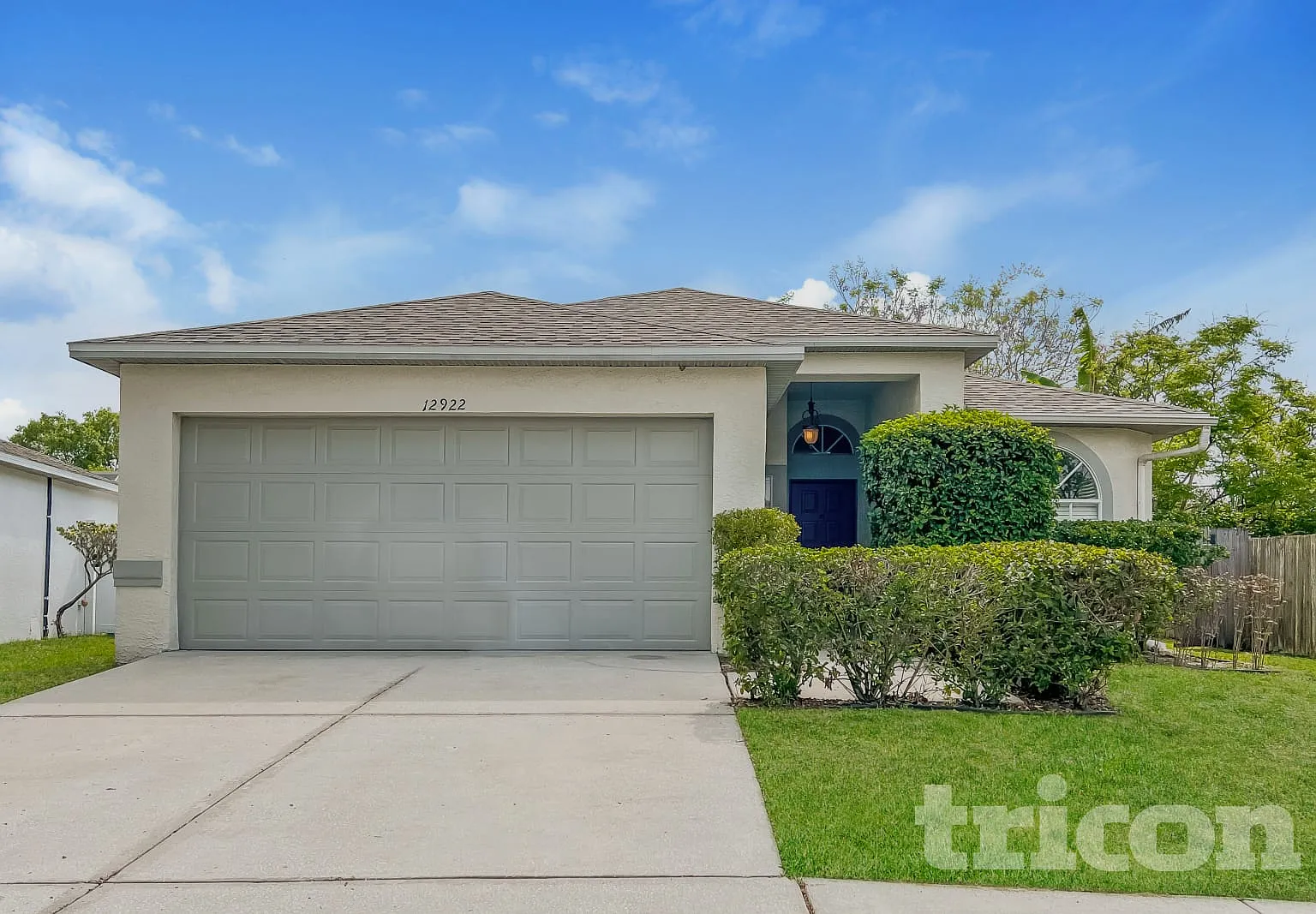 12922 Brant Tree Drive Riverview FL — Photo 1