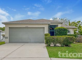 12922 Brant Tree Dr, Riverview, FL 33579