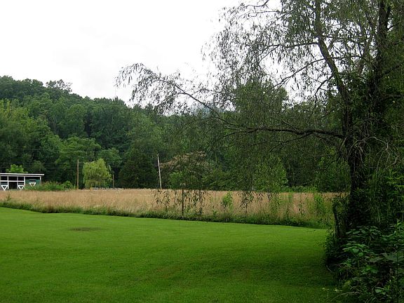 pasture