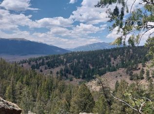 16417 Eleventh Hour, Leadville, CO 80461