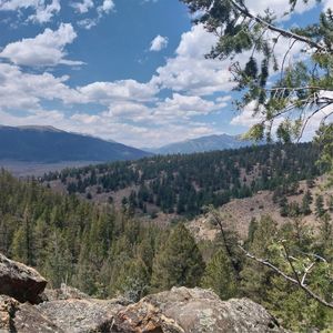 16417 Eleventh Hour, Leadville, CO, 80461