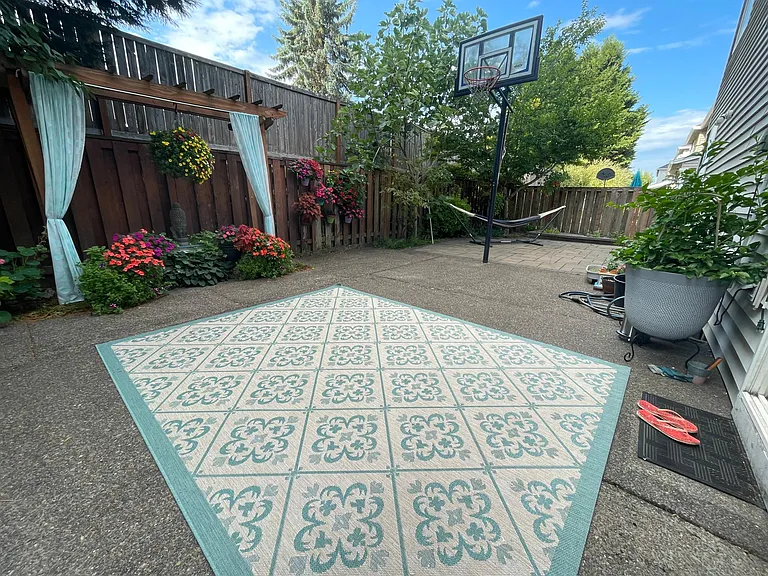 Backyard and hoop