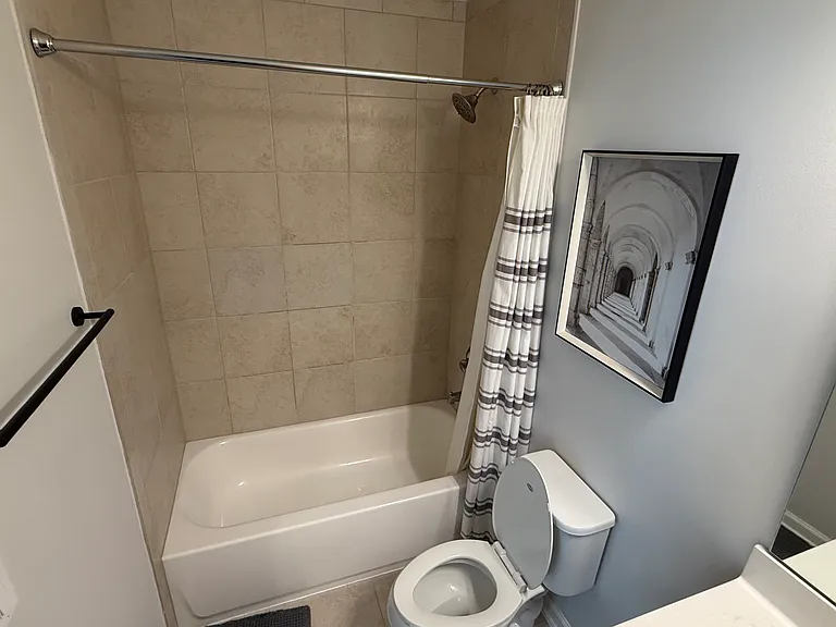 60 Canary Palm Ct — Photo 17