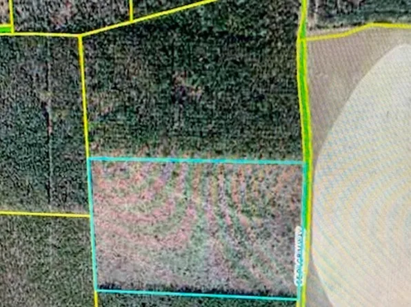 0 SE Pilgrim Way, Lee, FL 32059