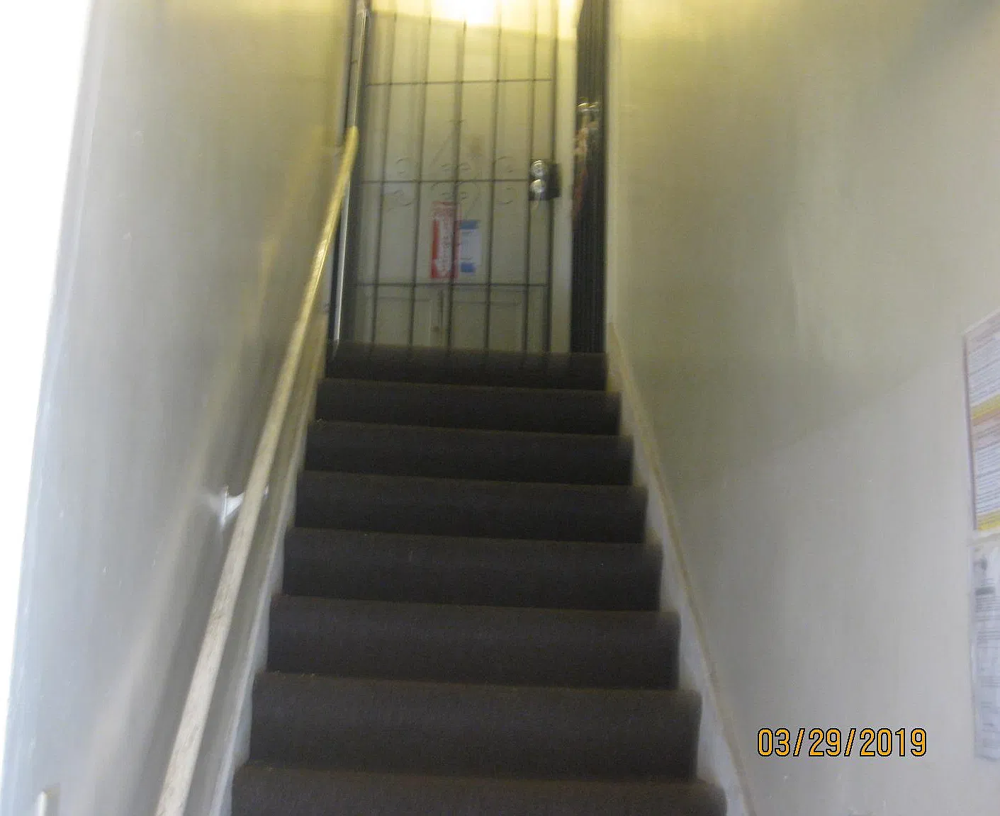 Studio, 490 sqft, $1,250 — Photo 3