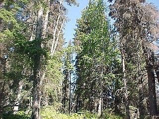 1st image of L2 Old Sterling Hwy