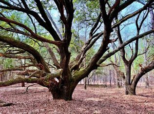 2400 River Rd, Greeleyville, SC 29056