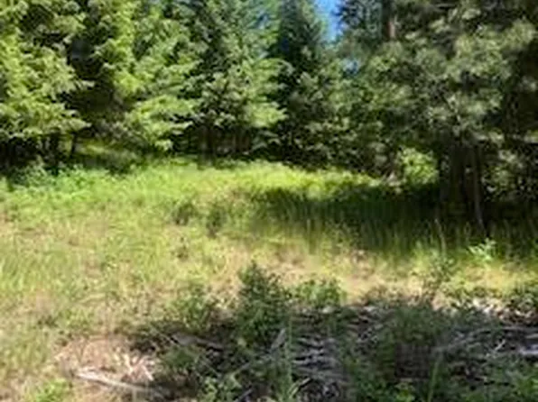 2975G Cottonwood Creek Rd, Chewelah, WA 99109