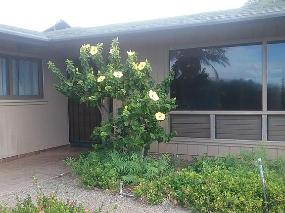 Front entrance with hibiscus