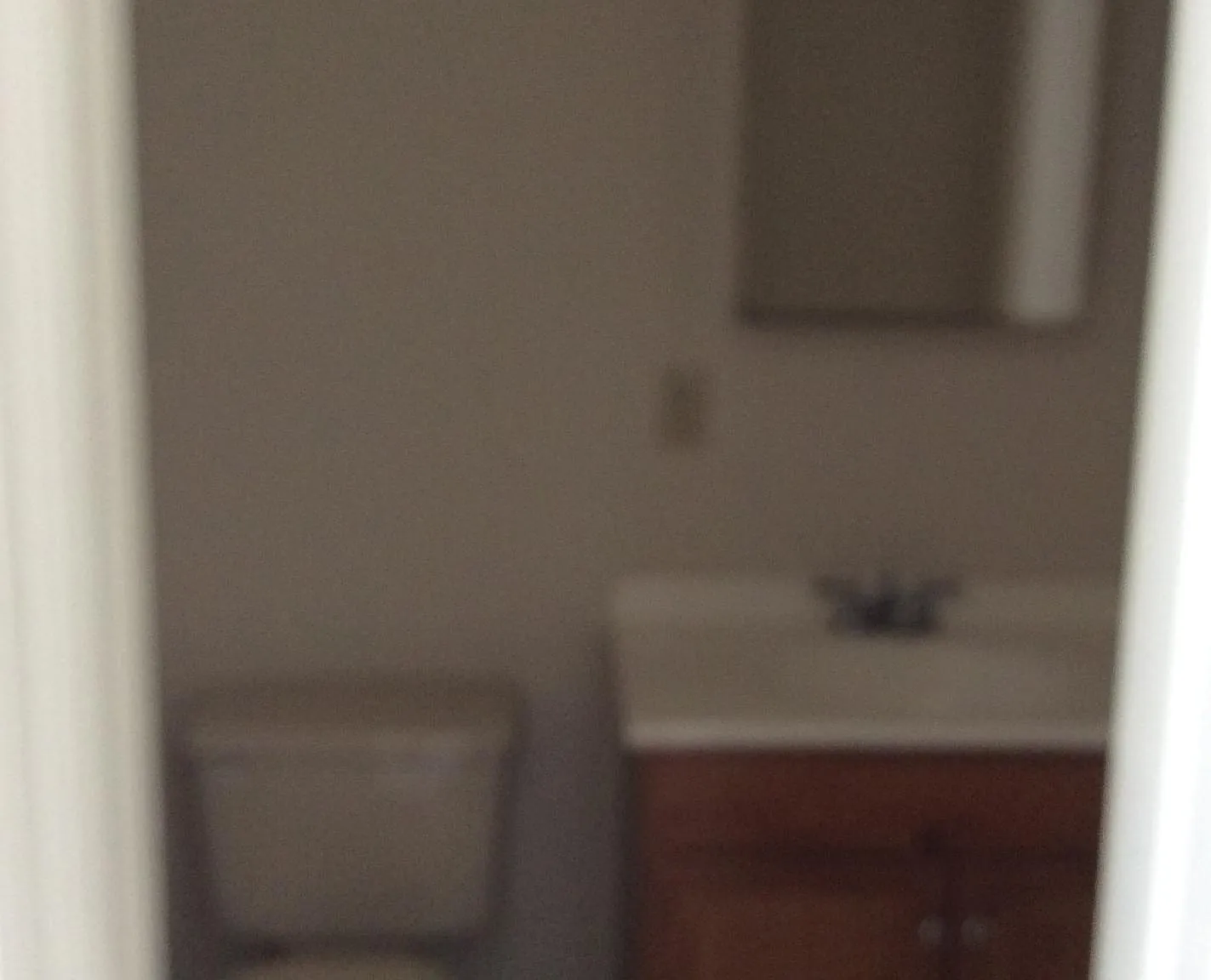 2 bed, 1.5 bath, $1,295 — Photo 4