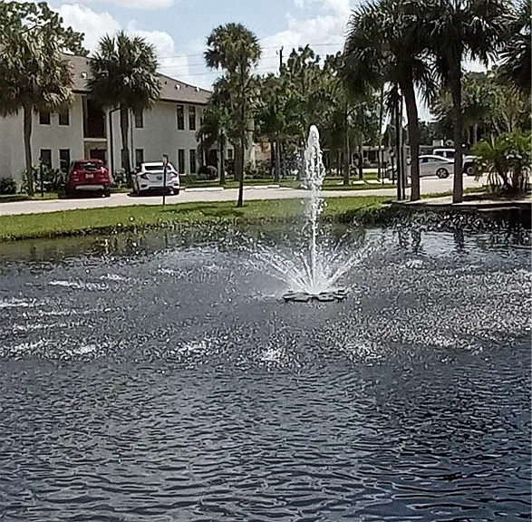 2135 Crystal Dr #45 — Photo 6