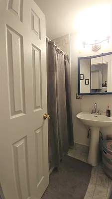 Rented by Brooklyn Properties | media 19