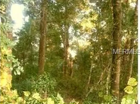 26702 Yalaha Rd, Yalaha, FL 34797