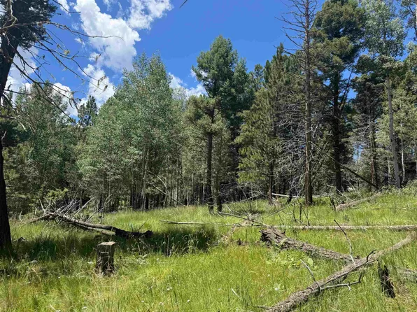 Lot 44 Calle de los Indios, Angel Fire, NM 87710
