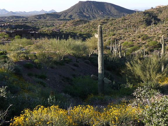 4th image of 42558 N Chiricahua Pass