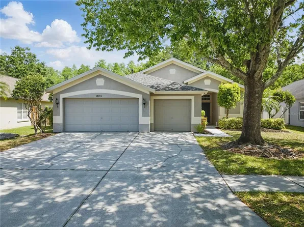 19713 ELLENDALE DRIVE, LAND O LAKES, FL 34638