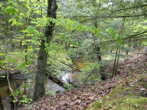 V/l E, Branch, MI 49402