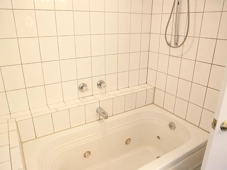 Full bathroom on lower level with bathtub and jacuzzi