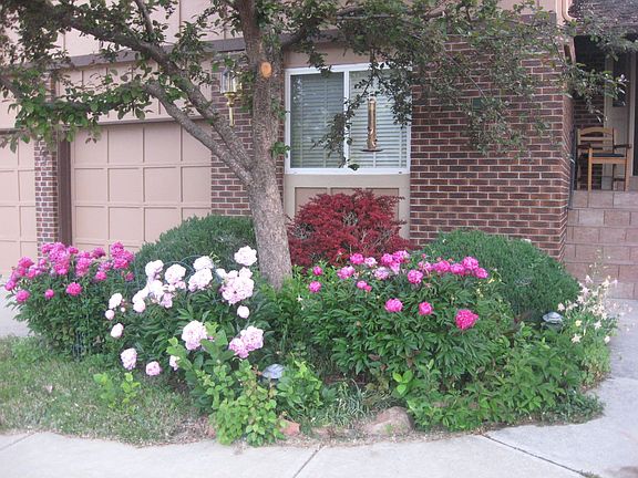 front flower garden