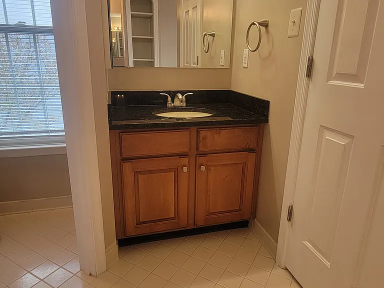 15141 Windy Hollow Cir — Photo 54