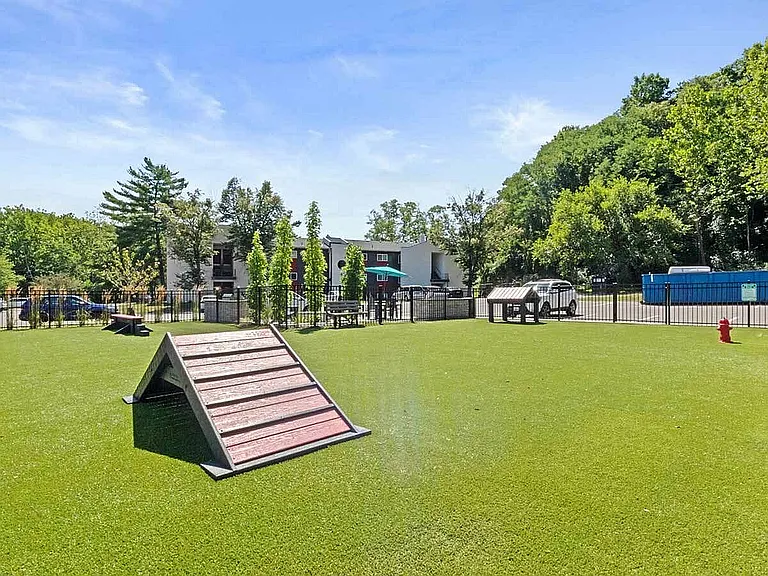 Dog Park