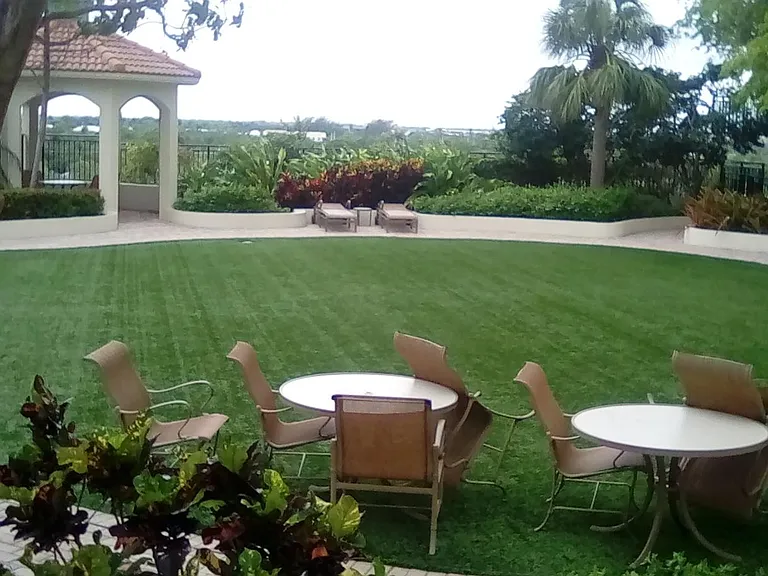 lawn by pool