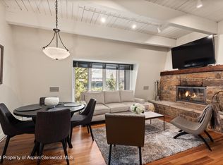 725 E Durant Ave #19, Aspen, CO 81611