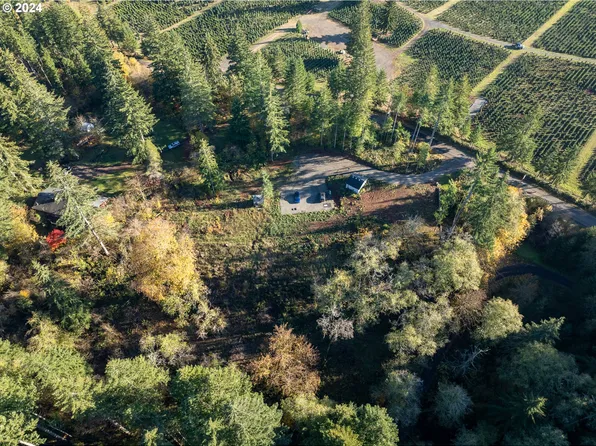 39335 SE Trout Creek Rd, Corbett, OR 97019